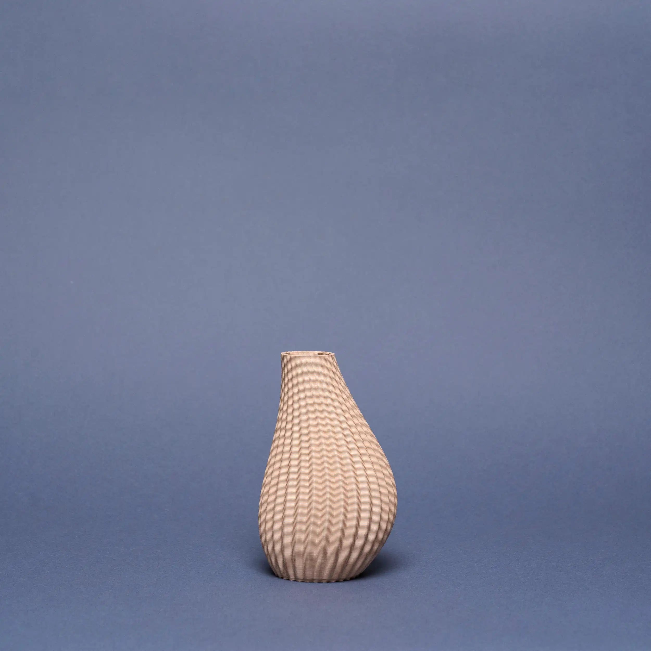Vase Noix de cajou Ma boutique