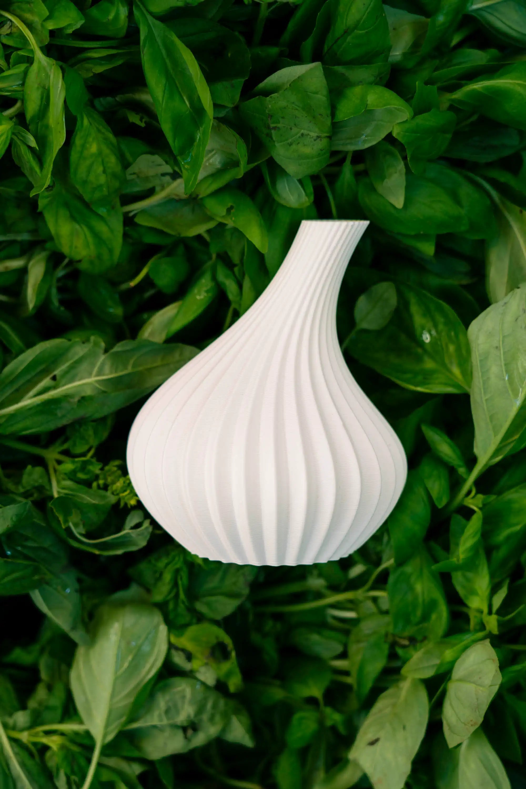 Vase Gousse d'Ail Ma boutique