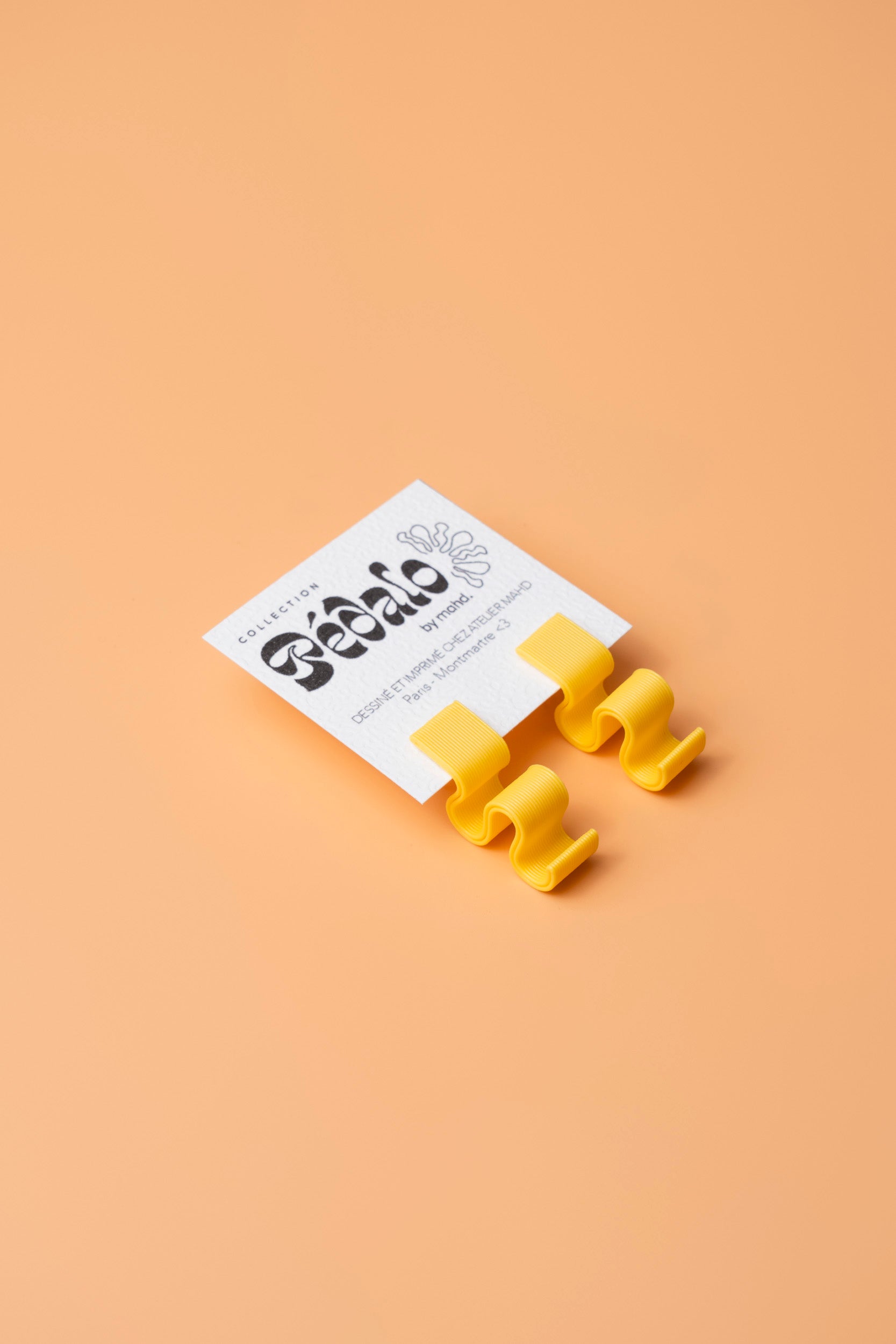 Petites Boucles d'Oreilles