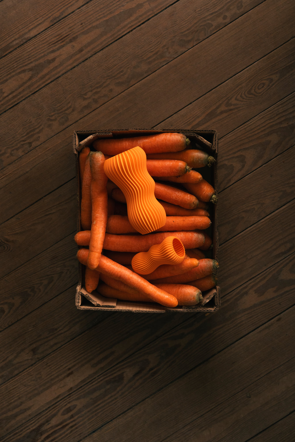 Vase Carotte